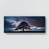 Cedar Tree Twilight Silhouette 62