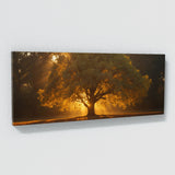 Sycamore Tree Golden Dawn 63