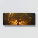 Sycamore Tree Golden Dawn 63