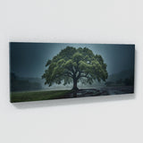 Sycamore Tree Rainstorm 69