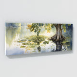 Sycamore Tree Serene Reflection 34