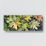 Sycamore Tree Serenity 38