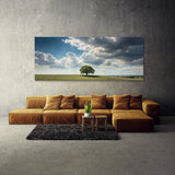 Sycamore Tree Solitary Sky 79