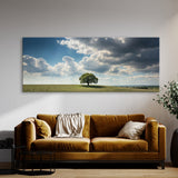 Sycamore Tree Solitary Sky 79