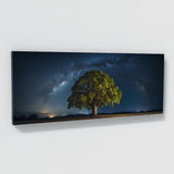 Sycamore Tree Starry Sky 67