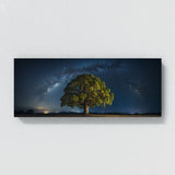 Sycamore Tree Starry Sky 67