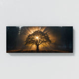 Sycamore Tree Sunlit Halo 75