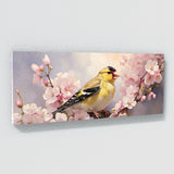 Goldfinch Blossoms And 23