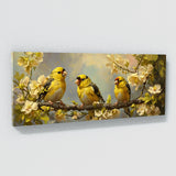 Goldfinch Golden Courtship 7