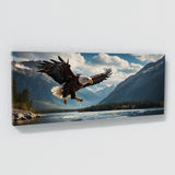 Bald Eagle Descent 70