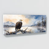 Bald Eagle Frozen Majesty 33