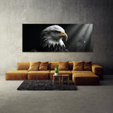 Bald Eagle Gaze 77