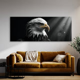 Bald Eagle Gaze 77