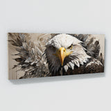 Bald Eagle Gaze 94