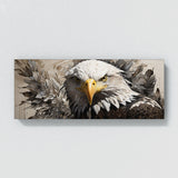Bald Eagle Gaze 94