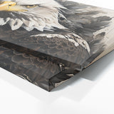 Bald Eagle Gaze 94
