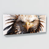 Bald Eagle Majestic 29