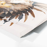Bald Eagle Majestic 29