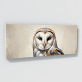 Barn Owl Eyes Minimalism 86