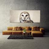 Barn Owl Eyes Minimalism 86
