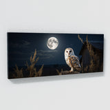 Barn Owl Moonlit Elegance 67