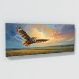 Barn Owl Twilight Soar 53