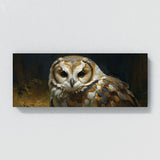 Barn Owl Wise Eyes 18