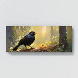 Blackbird Dappled Sunlight 46