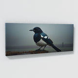 Magpie Noir Morning Sentinel 66