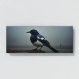 Magpie Noir Morning Sentinel 66