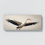 Stork Elegant Flight 81