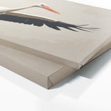Stork Elegant Flight 81