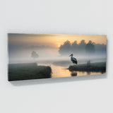 Stork Ghostly Dawn Emergence 66