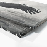 Stork Grey Majesty 92