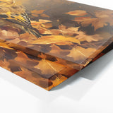 Finch Autumn Serenity 1