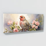 Finch Dreamy 27