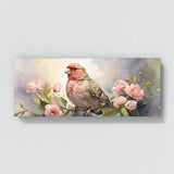 Finch Dreamy 27