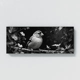 Finch Monochrome Marvel 86