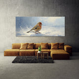 Finch Snowy Serenity 8