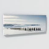 Penguin Odyssey 111
