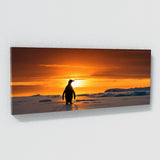 Penguin Sunset Majesty 98