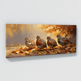 Quail Autumn Gathering 1