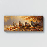 Quail Autumn Gathering 1