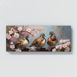 Quail Blossom Delight 60