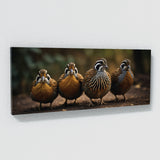 Quail Cinematic Tension 73