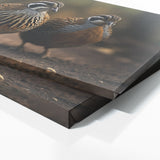 Quail Cinematic Tension 73