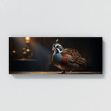 Quail Epic Majesty 75