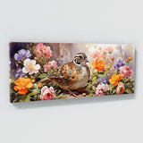 Quail Garden Adventure 29