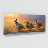 Quail Morning Melody 46