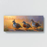 Quail Morning Melody 46